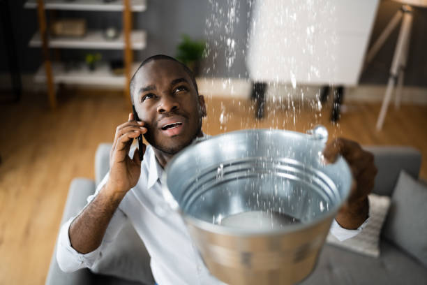 Best Emergency water extraction  in Van Wert, OH