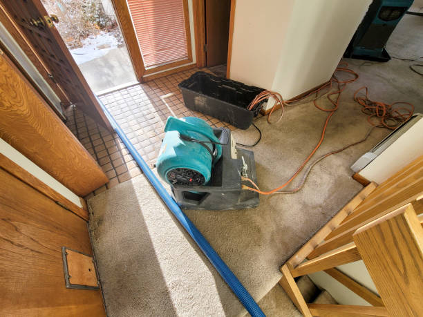 Best Emergency water damage restoration  in Van Wert, OH
