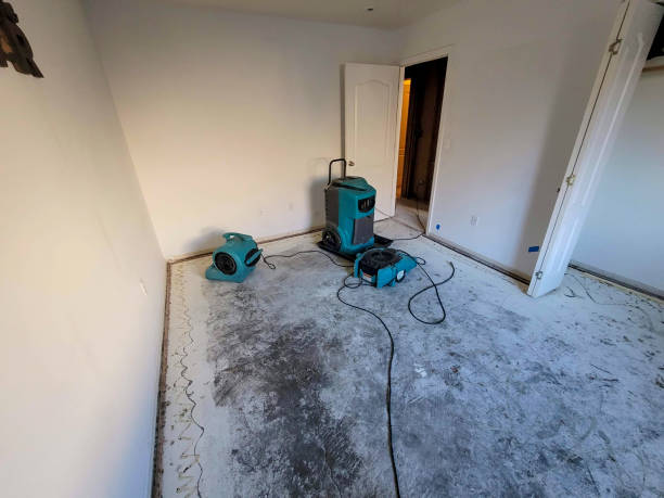Best Residential water damage restoration  in Van Wert, OH