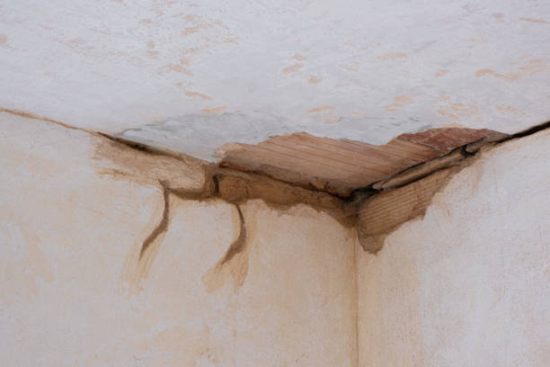Best Water damage restoration near me  in Van Wert, OH