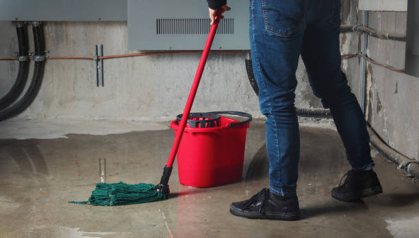 Best Mold removal after water damage  in Van Wert, OH