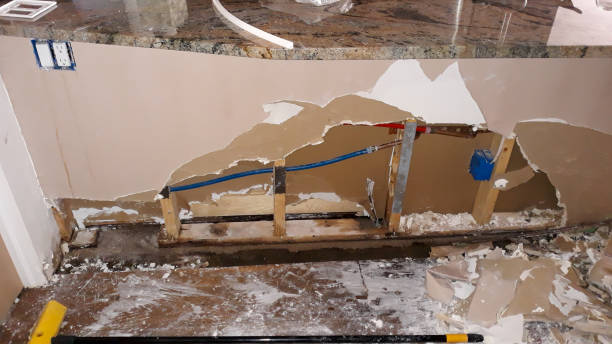 Best Carpet water damage restoration  in Van Wert, OH