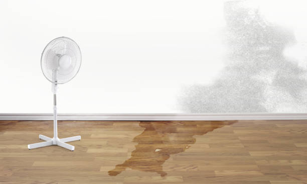 Best Emergency water damage restoration  in Van Wert, OH