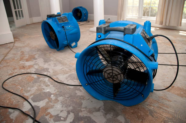 Best 24/7 water damage repair  in Van Wert, OH