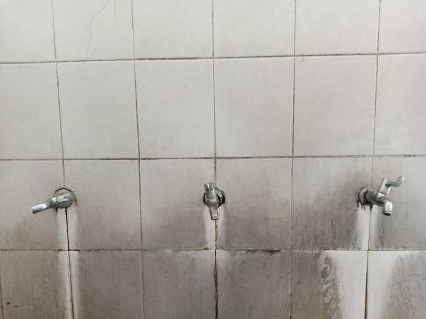 Best 24-hour water damage restoration  in Van Wert, OH
