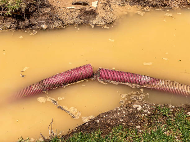 Best Water damage restoration services  in Van Wert, OH