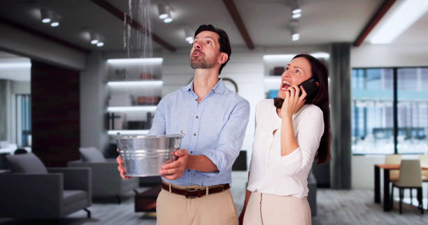 Best Sewage cleanup and water damage restoration  in Van Wert, OH
